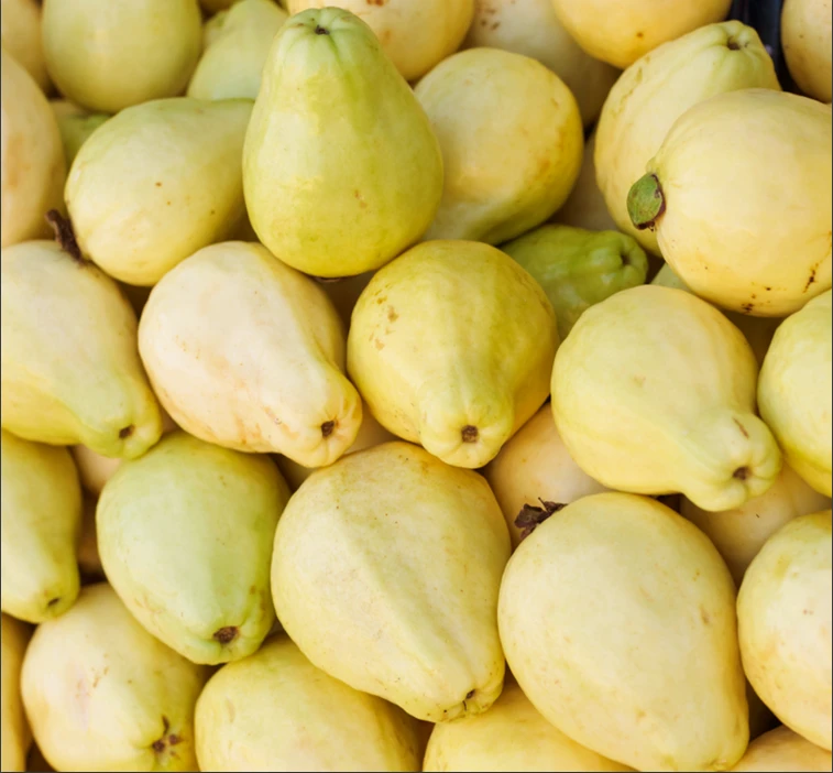 Purea di Guava 8% Brix