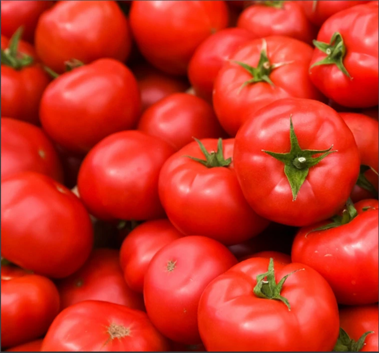 Tomato Paste Cold Break “C.B” 28–30%